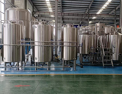 1000LCIP cleaning system