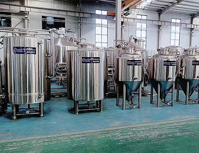 500L fermentation tank