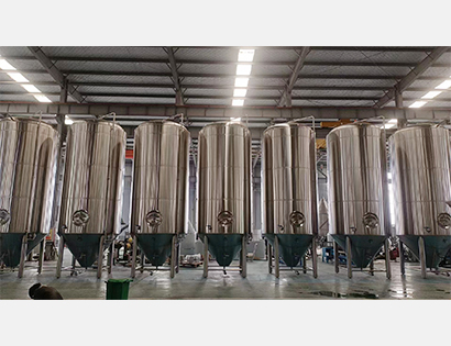 6000L內開橢圓側人孔發酵罐