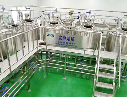 500L ice cream production line