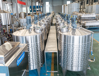 2000L fruit wine production line