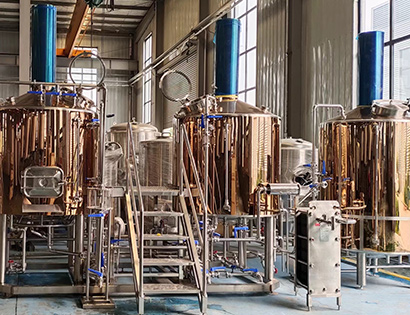 500L Rose Gold Beer Equipment