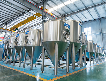 1000L fermentation equipment